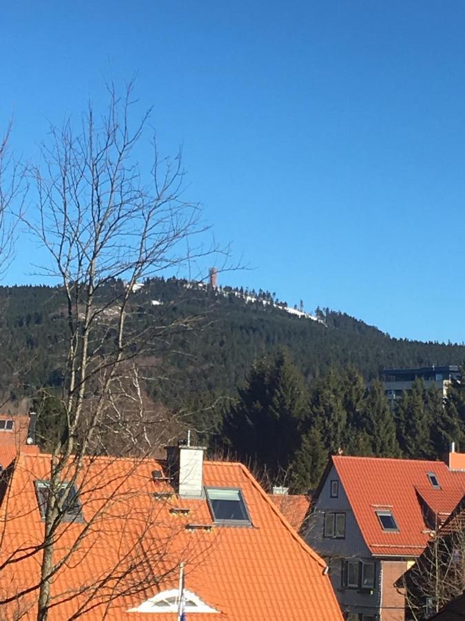 Luxurioese 3-Zi. Ferienwohnung Jagdromantik 200 M Bis Zur Wurmbergsseilbahn Браунлаге Екстериор снимка